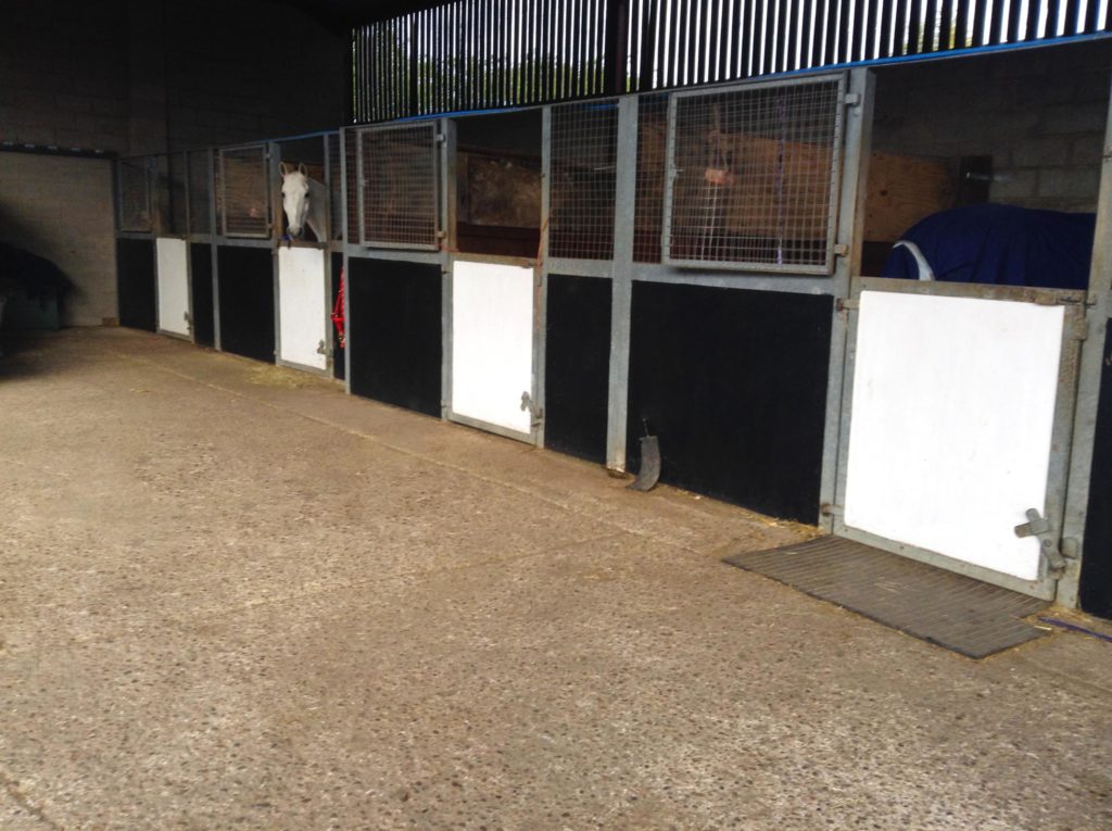 Villa Farm Essex Livery Centre center Horse Horses Stables Equestrian equine CM7 cm6 Dunmow Braintree colchester Chelmsford Felsted UK Bishops Stortford Stansted Saddle Bridle Riding Witham Freeport Children child adult Horse horses Care Gelding Mare London Hertfordshire www.villafarmliverycentre.com villafarmliverycentre villa farm livery centre