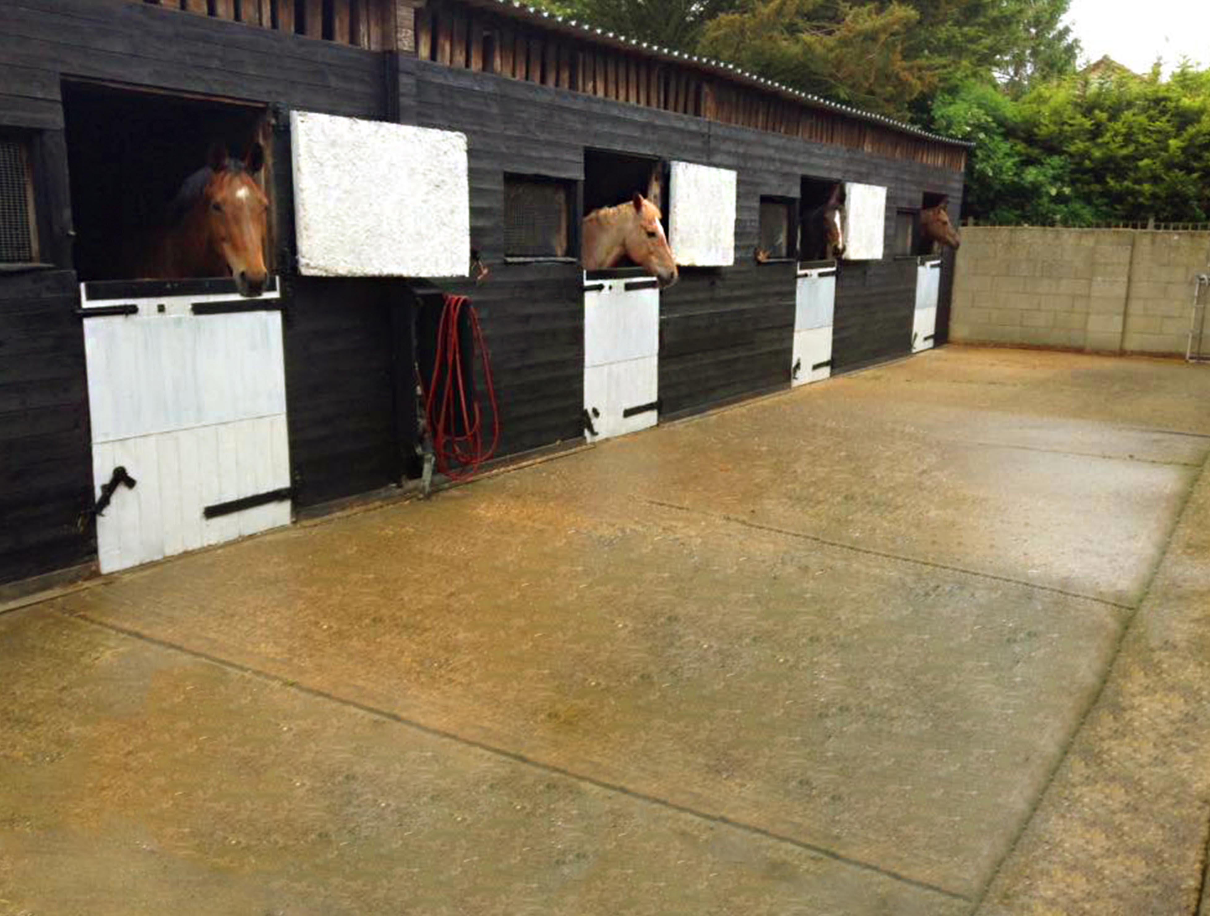 www.villafarmliverycentre.com villafarmliverycentre villa farm livery centre Villa Farm Essex Livery Centre center Horse Horses Stables Equestrian equine CM7 cm6 Dunmow Braintree colchester Chelmsford Felsted UK Bishops Stortford Stansted Saddle Bridle Riding Witham Freeport Children child adult Horse horses Care Gelding Mare London Hertfordshire 